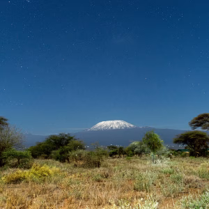 kilimanjaro