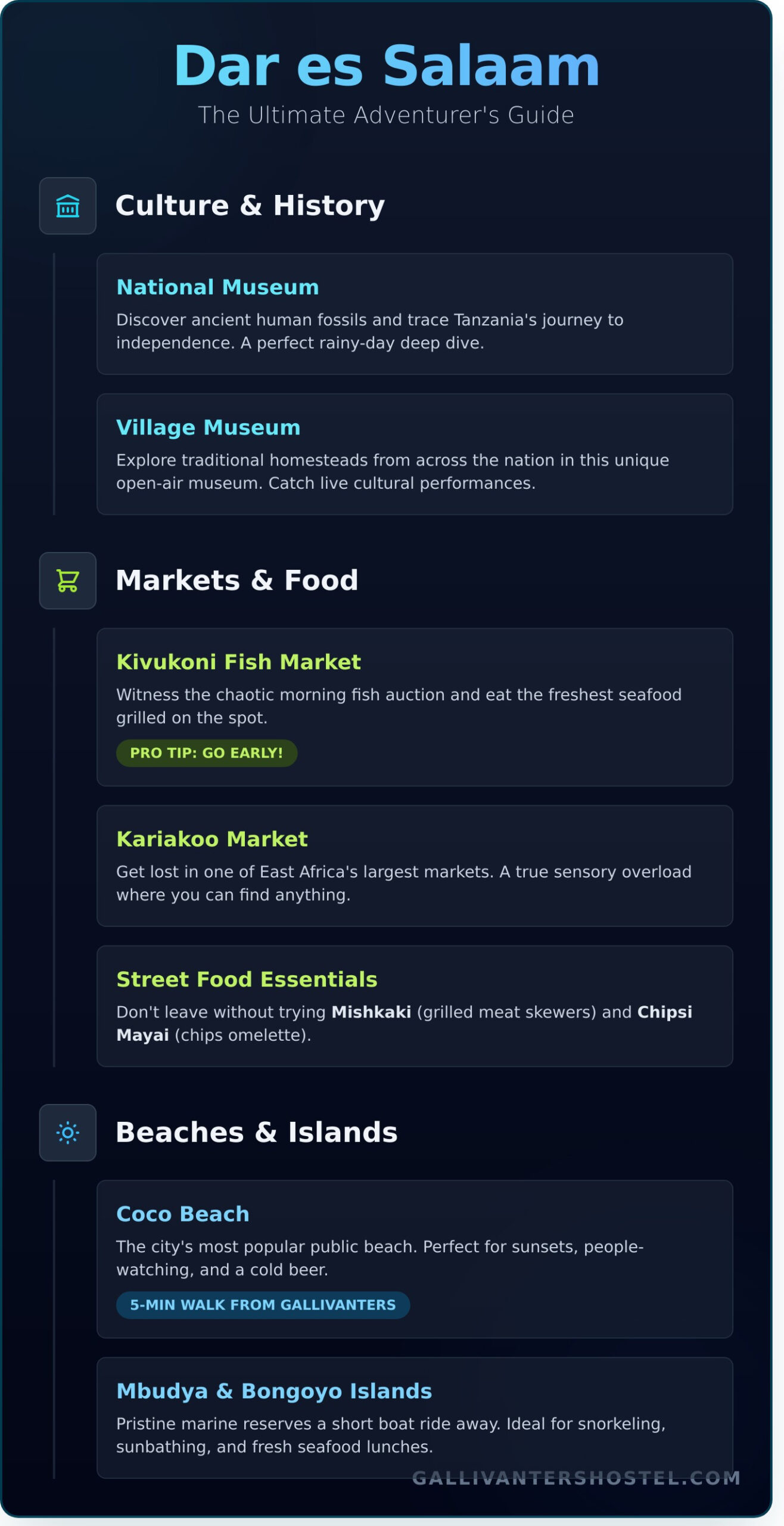 21 Epic Things to Do in Dar es Salaam (A Backpacker’s Guide) - Infographic