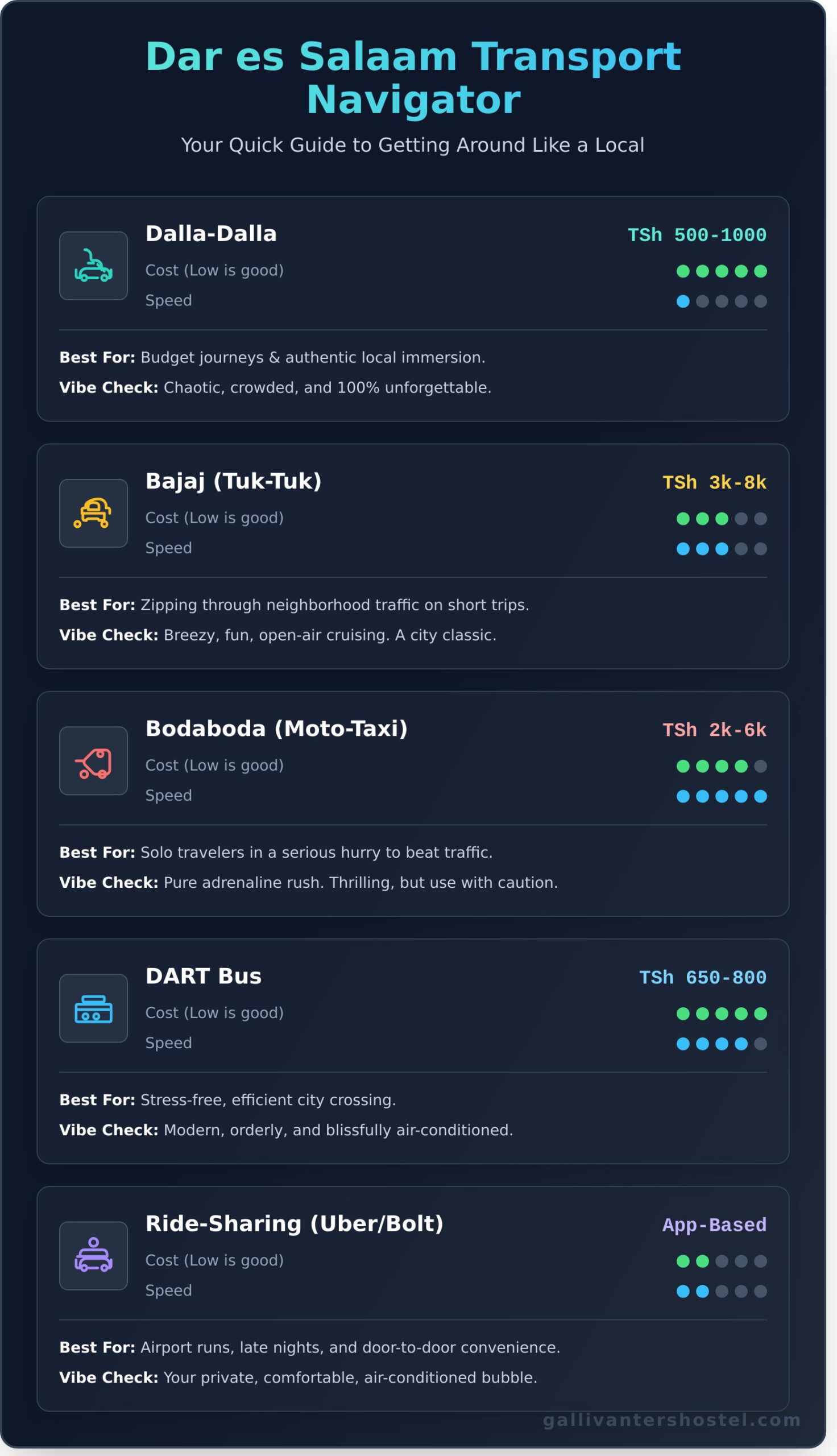 Getting Around Dar es Salaam: A Backpacker’s Guide to Public Transport - Infographic