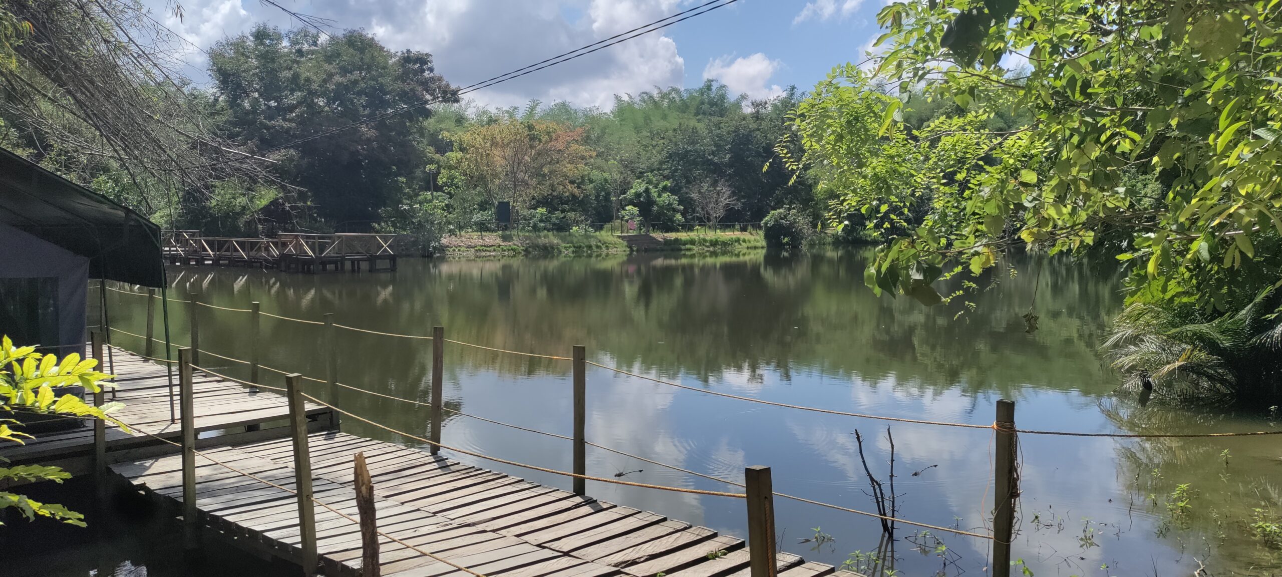 Pugu Kazimzumbwi Nature Forest Reserve near Dar es Salaam, Tanzania
